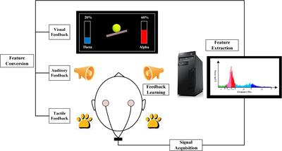 A Review of Neurofeedback Training for Improving Sport Performance From the Perspective of User Experience